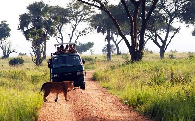 Murchison-falls-National-Parks